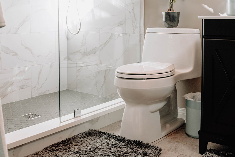 toilet instalation services