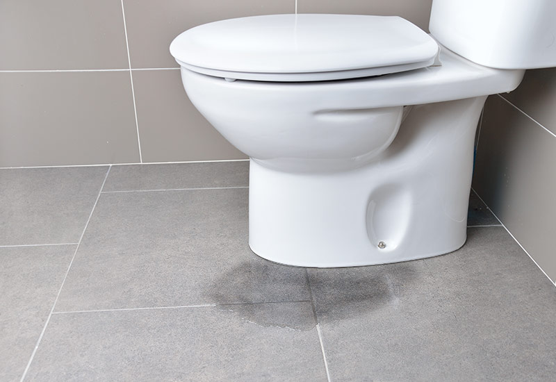 toilet-image copy