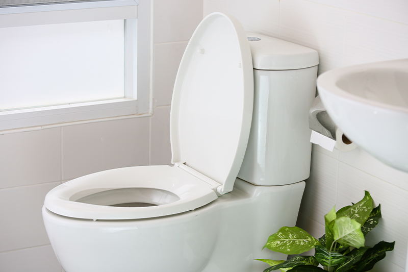 a duel flush toilet